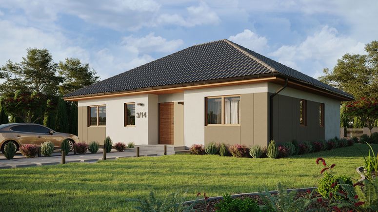 ERDOL 104 - Version Links (Wohnzimmer auf der linken Seite) - Styropor, Netz, Kleber - Goldene Eiche - Ohne