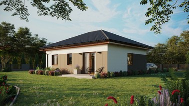 ERDOL 2 - Version Links (Wohnzimmer auf der linken Seite) - Walmdach ohne ausgebautem Dachboden - Dachneigung 25 Grad - keine Dachfenster - Standard - Styropor, Netz, Kleber - Goldene Eiche